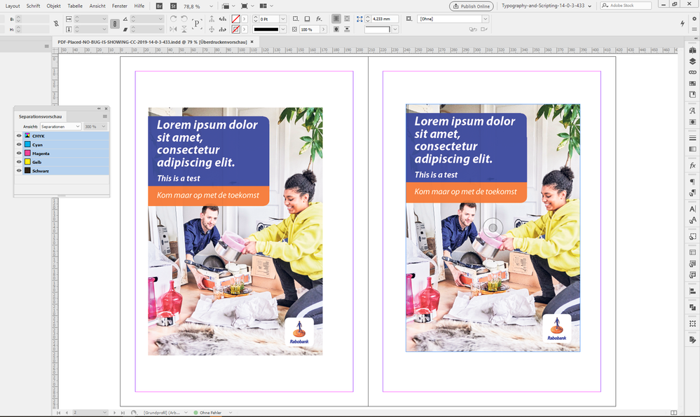 NoBugShowing-INDD-CC-2019-14.1.0.3.433.PNG