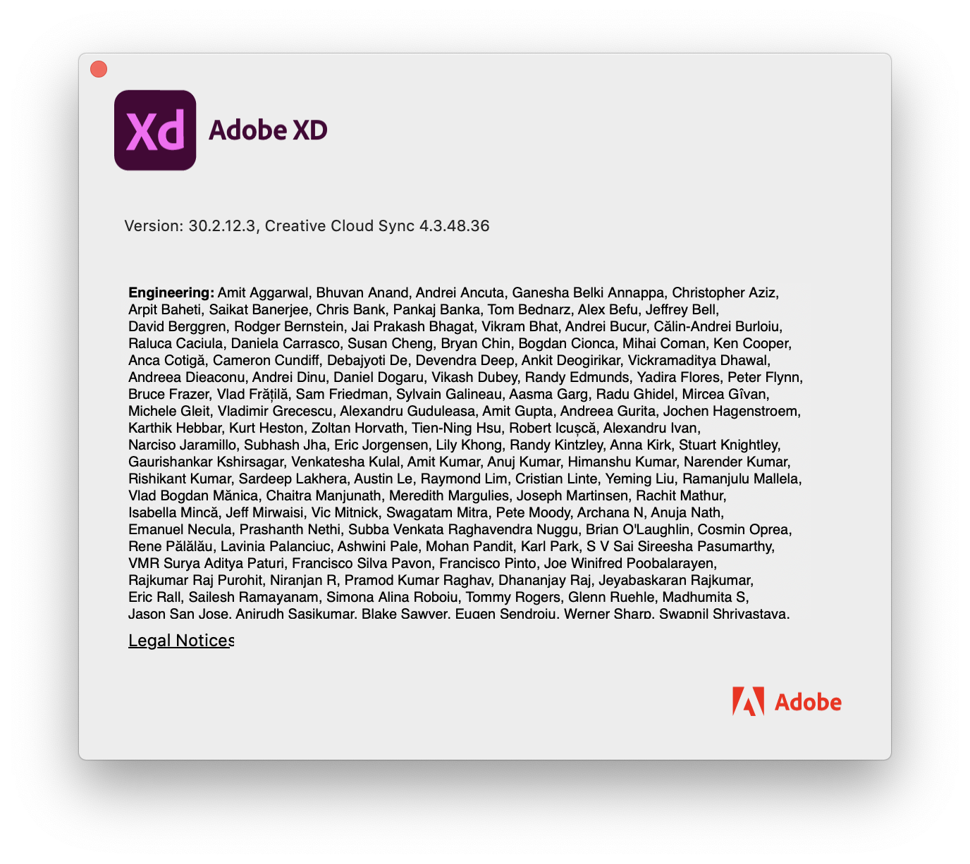 adobe xd files unable to download from web