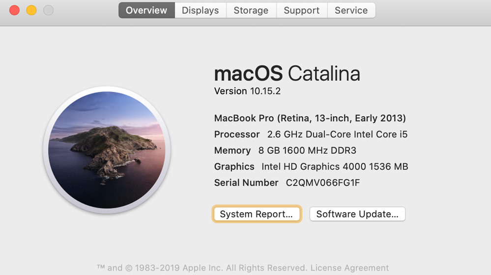 Screen Shot 2020-07-06 at 11.02.34 AM.png