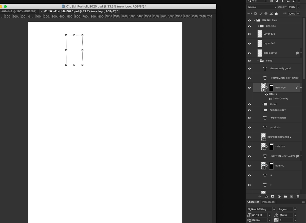 photoshop document opening up blank but layers are Adobe