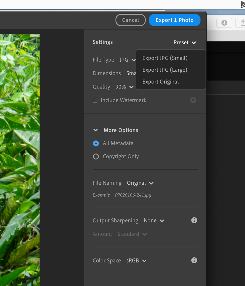 Screenshot 2020-07-15 at 7.55.42 AM.png