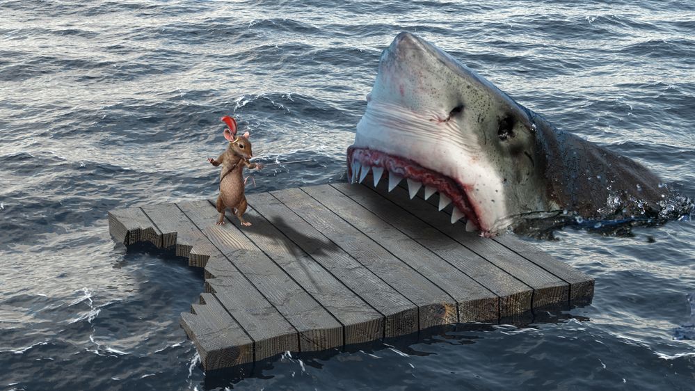 shark.jpg