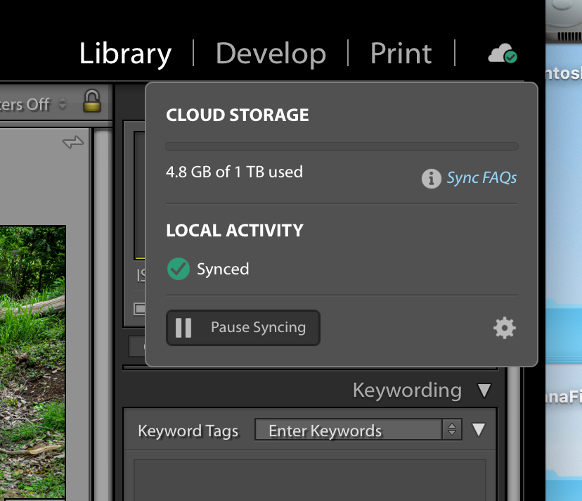 Screenshot 2020-07-19 at 1.12.11 PM.png