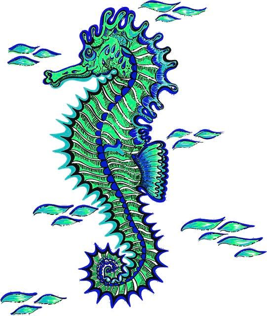 seahorse-for-pattern.jpeg