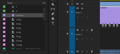 Selecting the Captions in the Project panel (filename list) instead of the timeline.