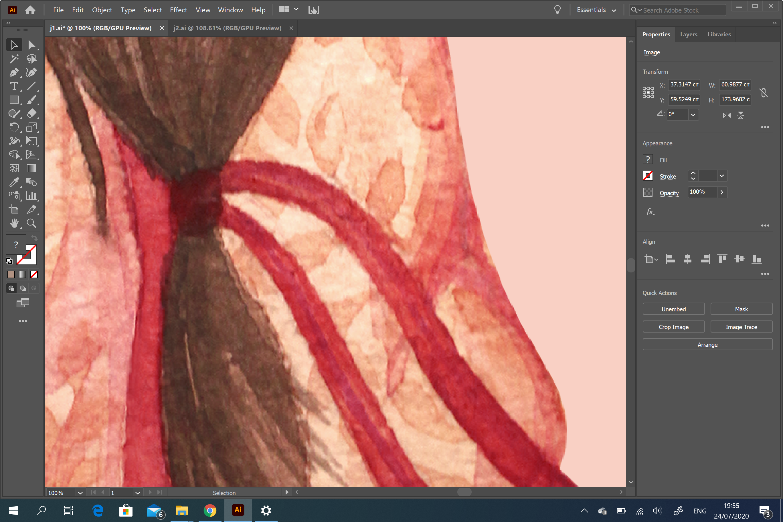 My vectorised watercolour painting gets blotchy an... Adobe Community