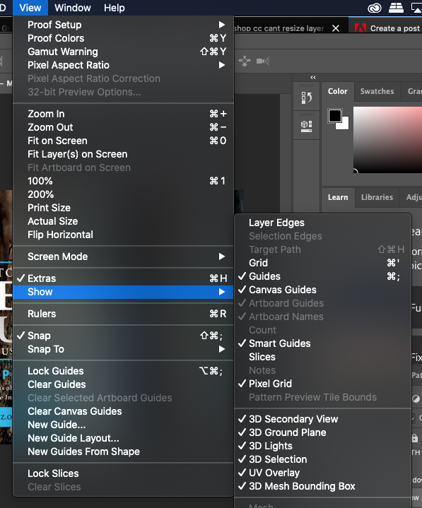 Solved CC Selection Edges greyed out / unable t... Adobe