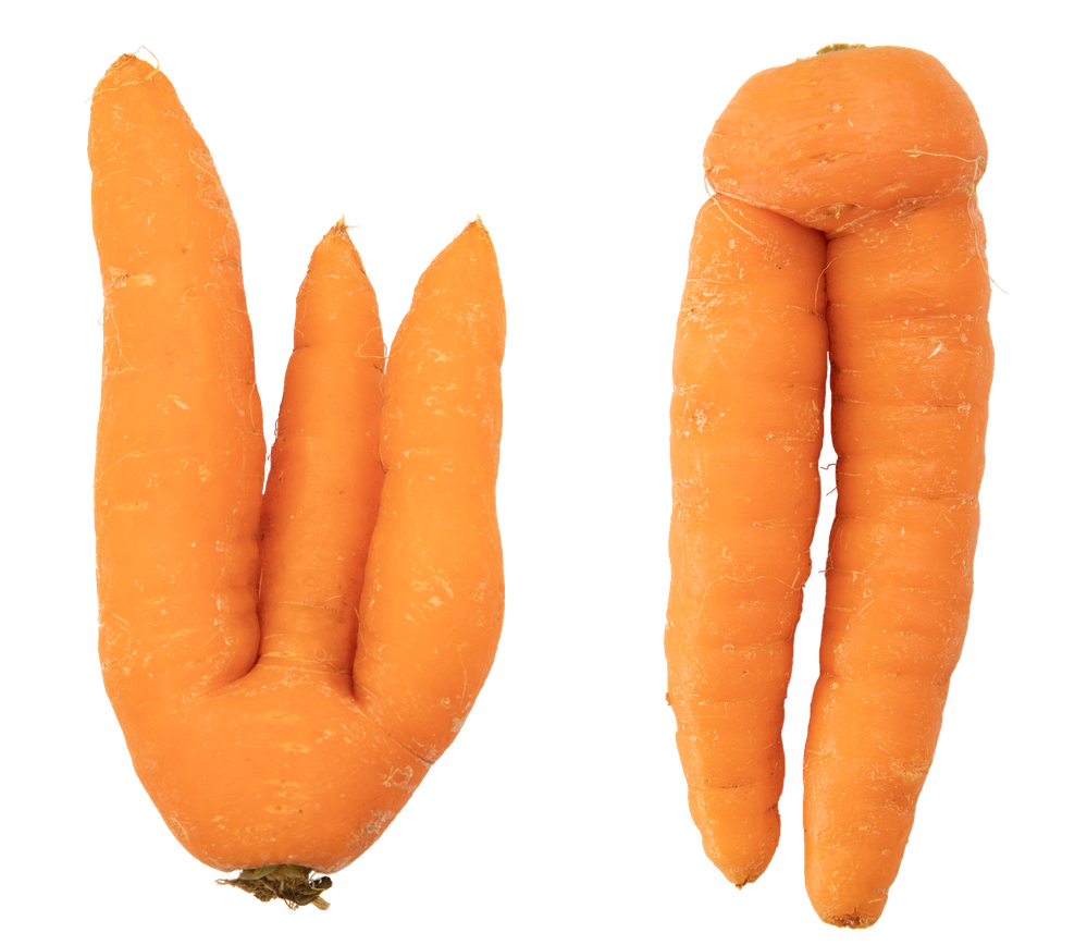 SFTW104Carrots.png