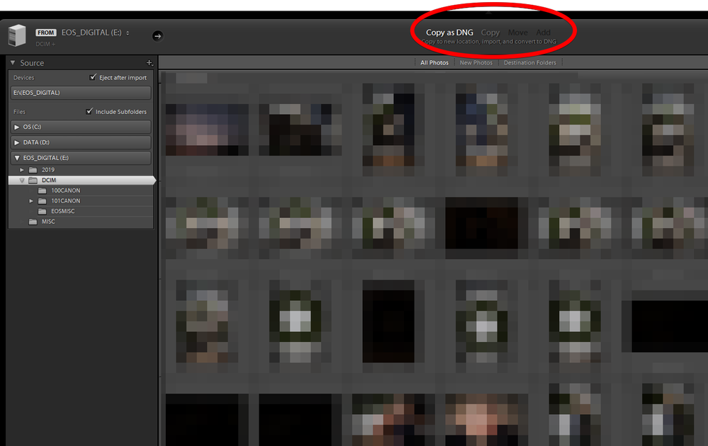 Lightroom 2020-08-01 10.48.02.png