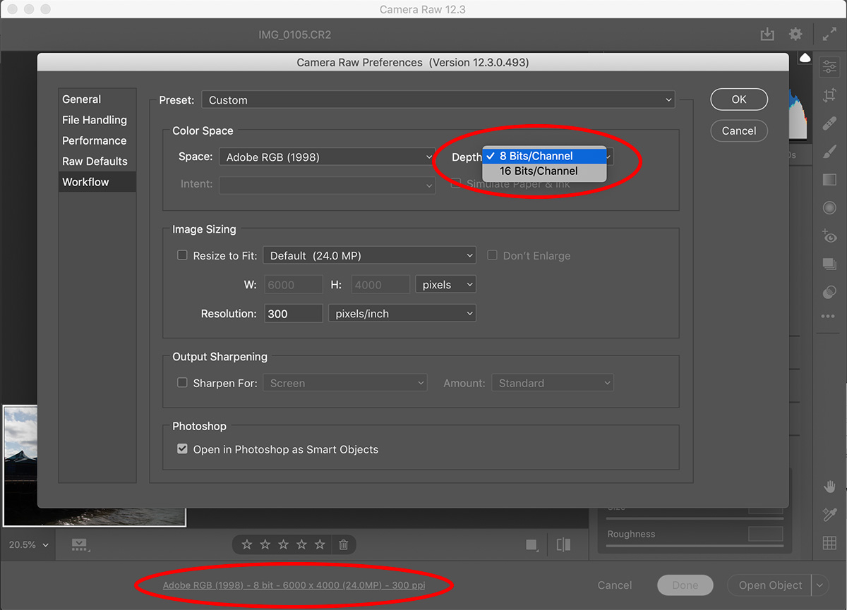 Adobe Camera Raw 9.1.1 Download For Mac