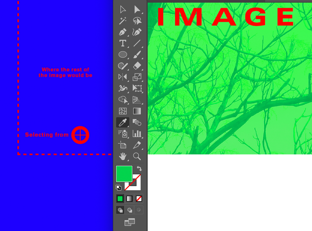 Illustrator Bug 2.png