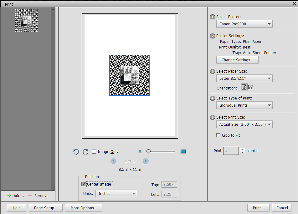 Print dialog box at start, small image centered.