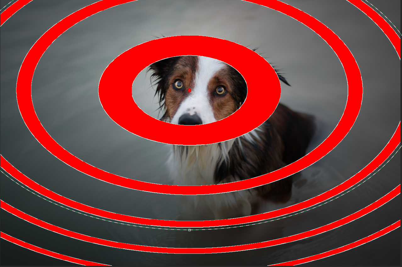 Why is radial filter in new camera raw ( 12.4 ) no... Adobe Community