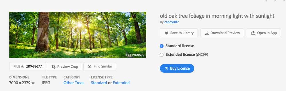 Screenshot 2020-08-25 at 19.13.15.png