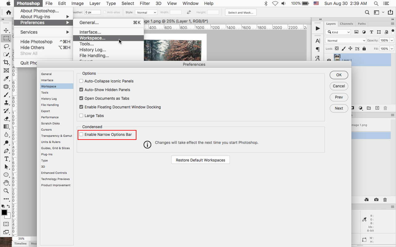 show transform controls check box