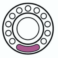 Exported zoomed (pure magenta)