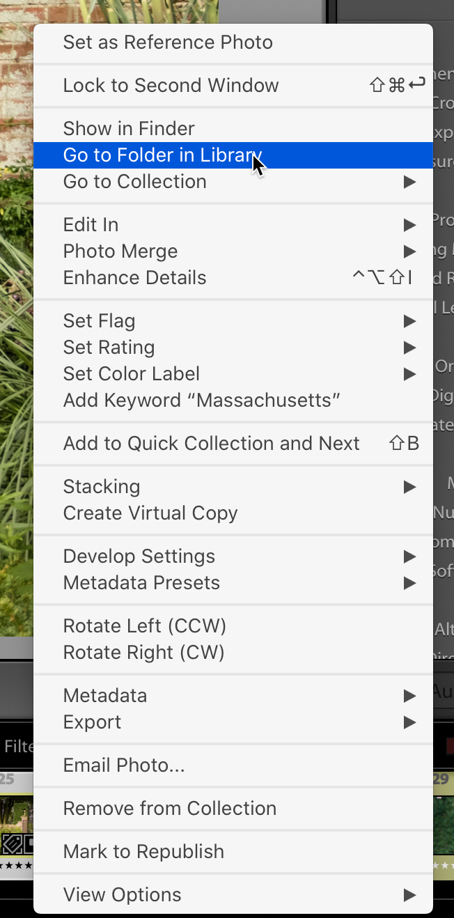 solved-how-to-delete-photo-from-album-and-completely-from-adobe