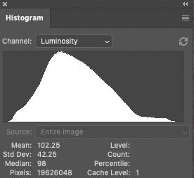 PS Histogram from the raw