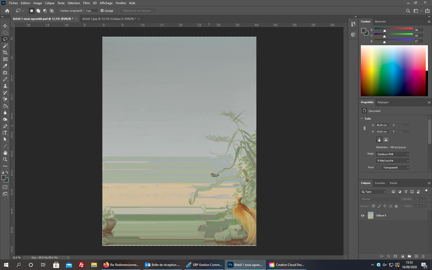 Redimensionner une photo sans déformation Adobe Community 11423808