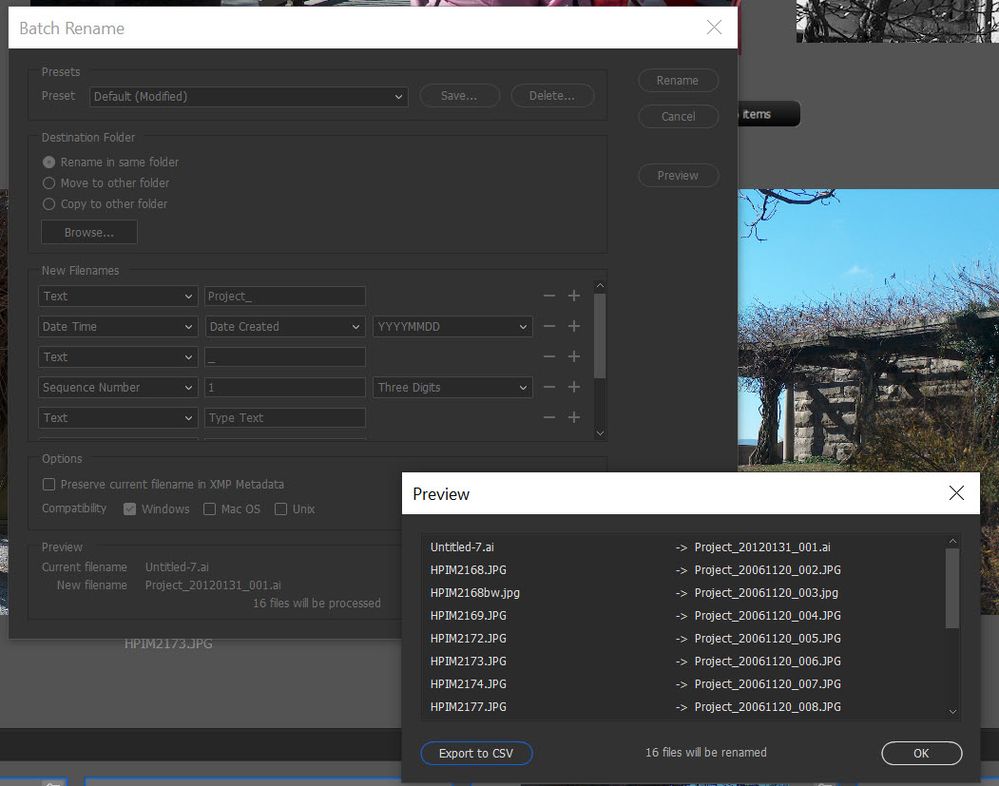 2020-09-11_14-15-46 batch rename.jpg