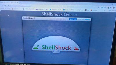 Blocking Ads on Shellshock.io: A Guide