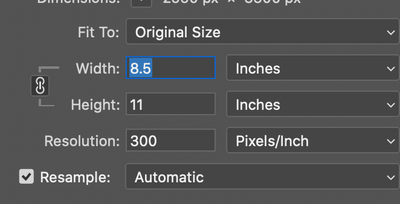 Image Size in Photoshop