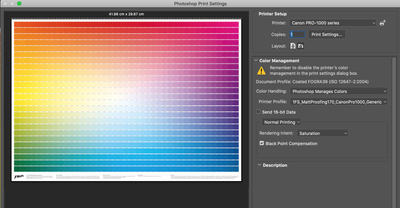 Current print settings (at a top level)