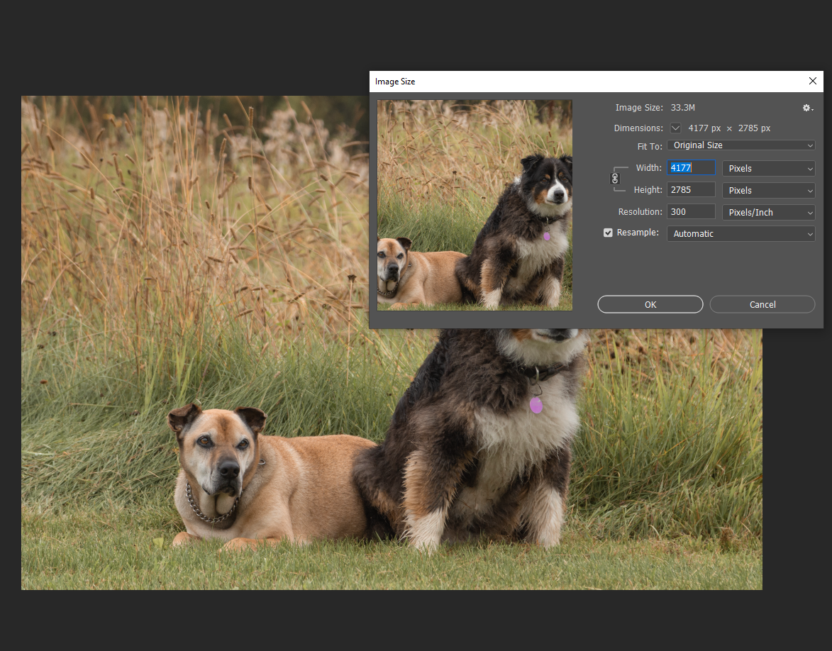 Saving for print, problem with low resolution wher... - Adobe Community ...