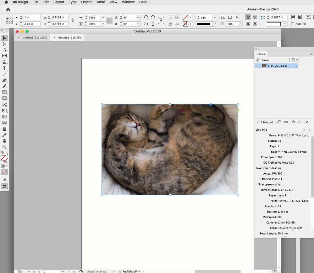 Screen Shot 47.png