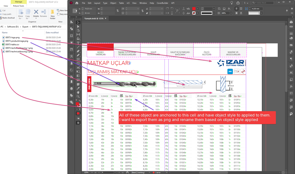 InDesign_5MOqcjuChg.png