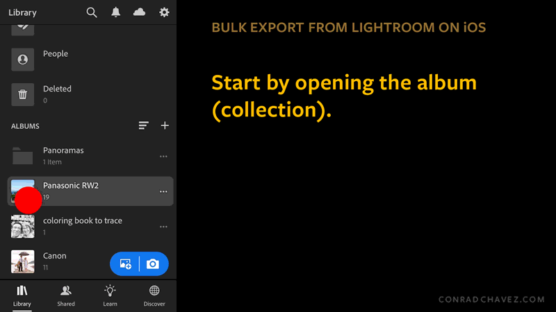 Lightroom-iOS-Export-multiple.gif