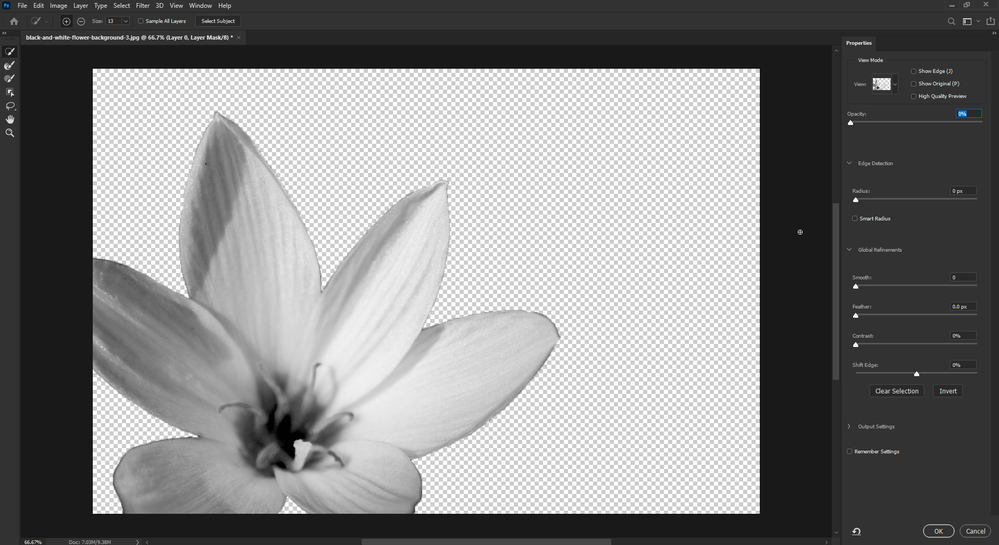 2020-10-08 17_12_58-black-and-white-flower-background-3.jpg @ 66.7% (Layer 0, Layer Mask_8) _.png