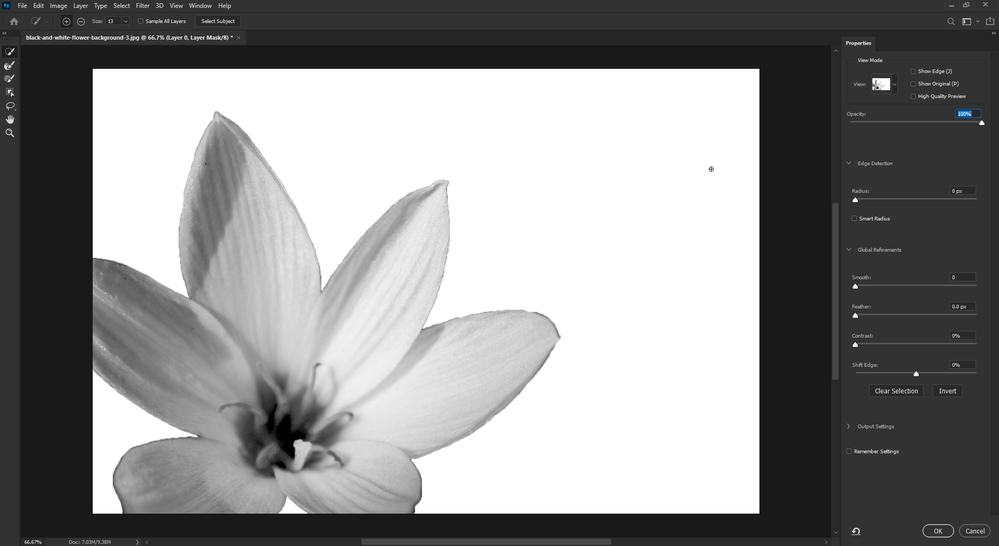 2020-10-08 17_16_46-black-and-white-flower-background-3.jpg @ 66.7% (Layer 0, Layer Mask_8) _.png