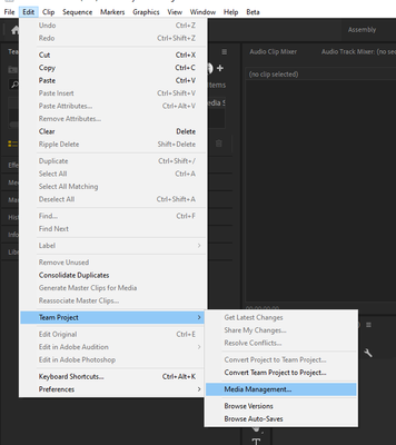 Team Projects Media Management Menu.PNG