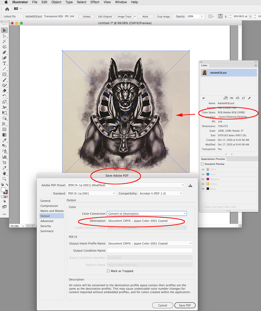 Screen Shot 25.png
