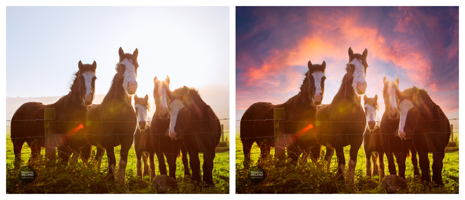 panoramic-ireland-sky-horses-before-after-collage.png