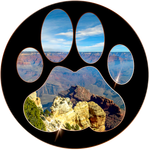 MountainCat