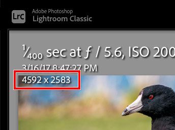 Lightroom-Classic-cropped-pixel-dimensions.jpg