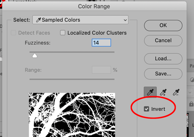 Screen Shot 2020-10-31 at 1.44.59 PM.png
