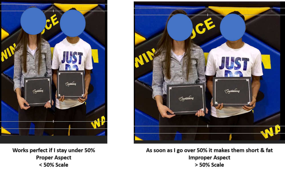 Aspect ratio issues with zooming - motion_scale.png