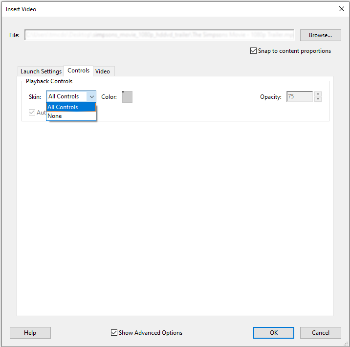 embed video_controls.png
