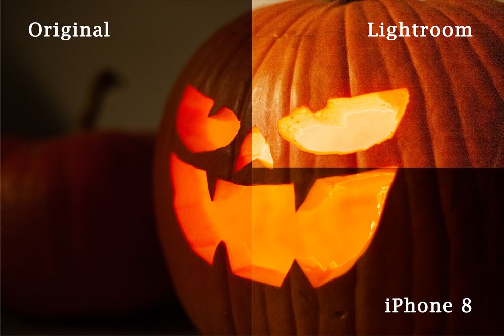 pumpkin.jpg