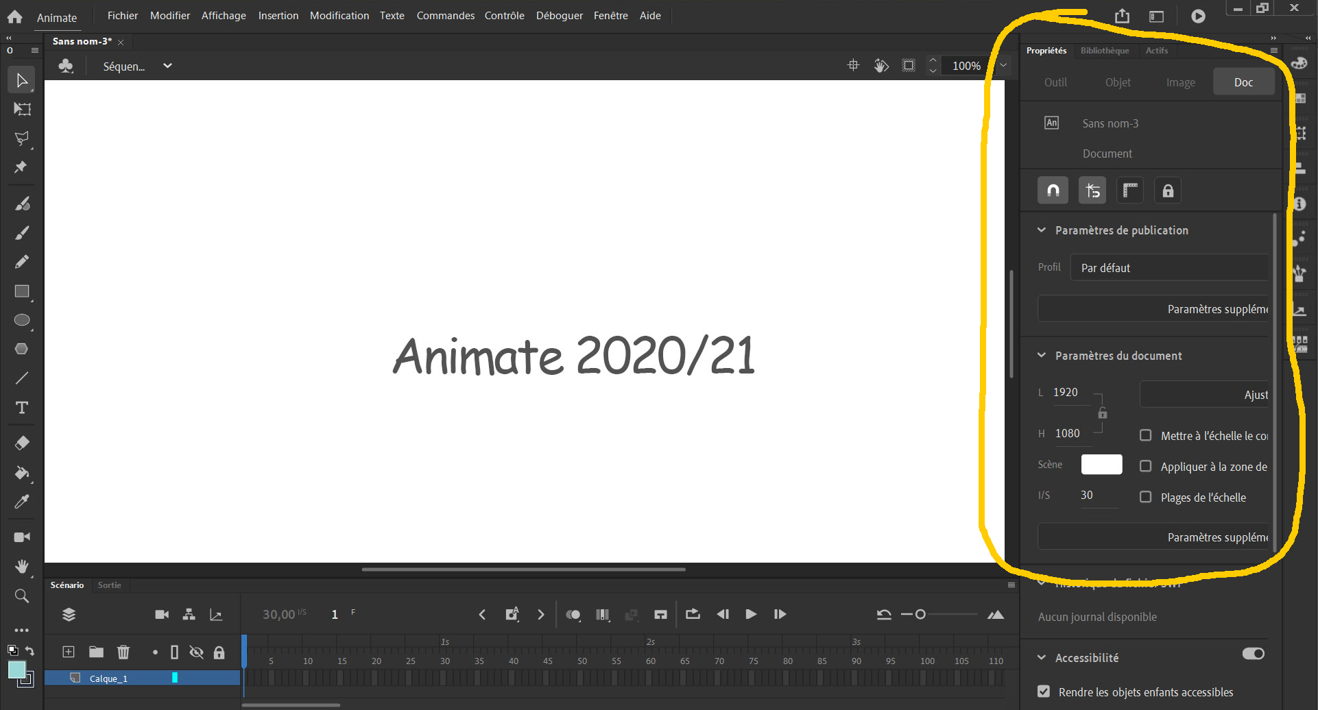 Animate UI 2020 2021 - Adobe Community - 11601537