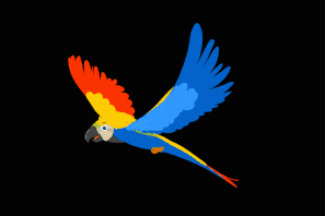 Blue-Macaw-1.gif