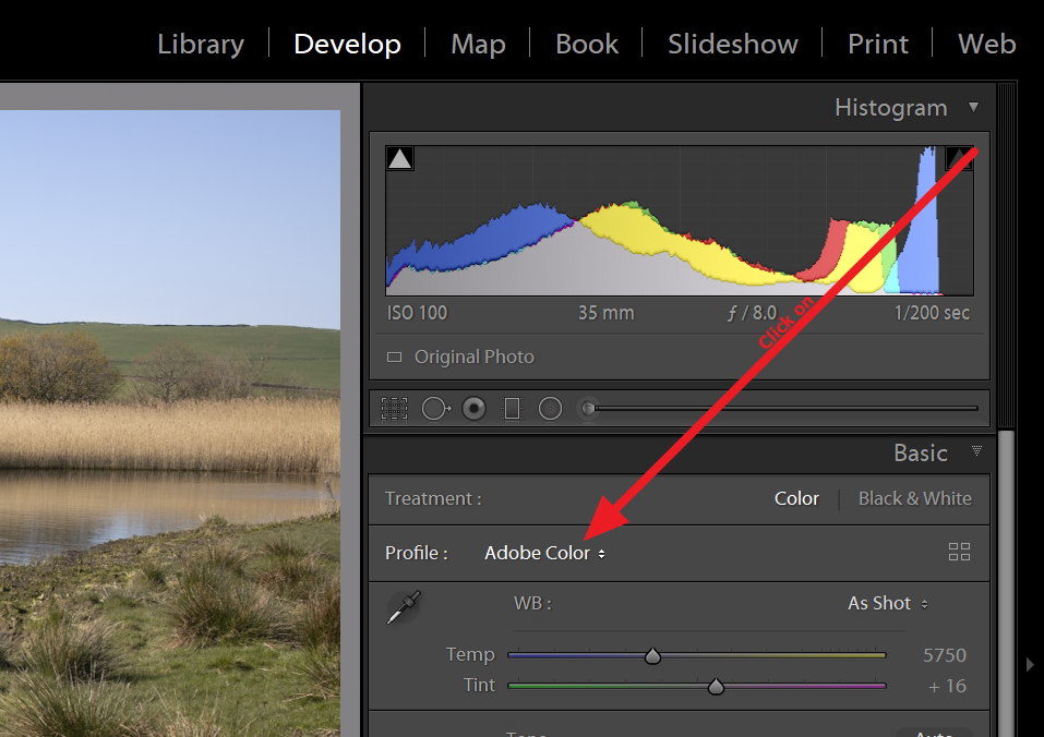 Lightroom Camera Profile Matching for Canon RP Adobe Community 10643360