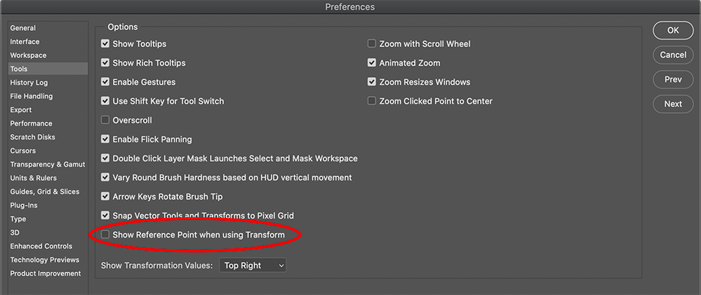 Screen Shot 2020-12-04 at 2.41.21 PM.png