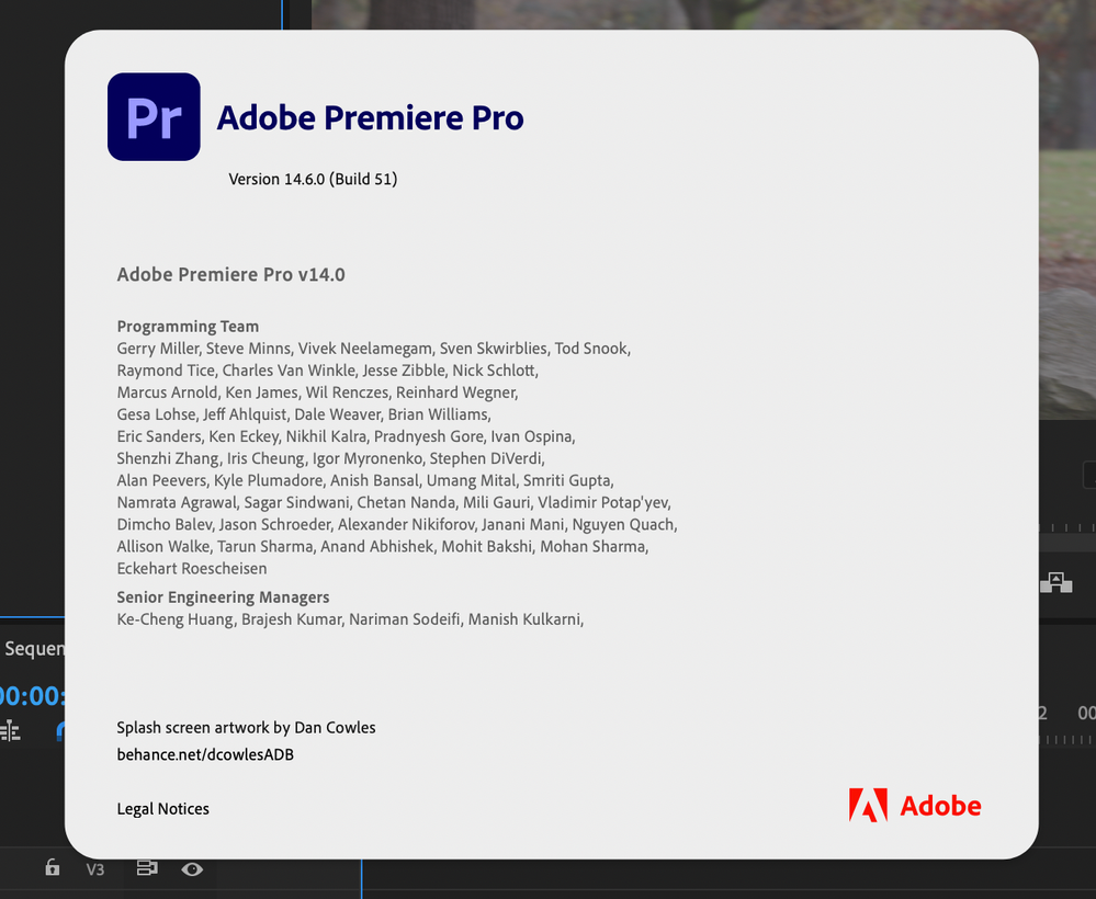 Premiere Pro splash screen