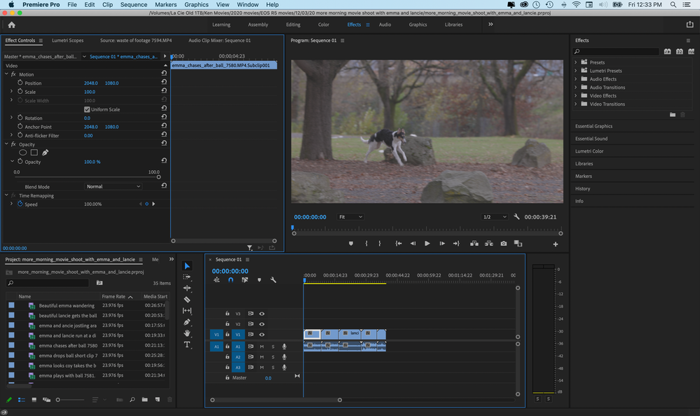 Premiere Pro with clip selected in timeline