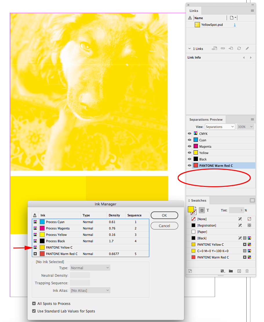 solved-re-indesign-and-illustrator-won-t-open-pantone-adobe