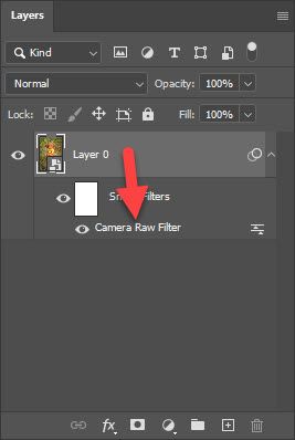 camera raw filter edit.jpg